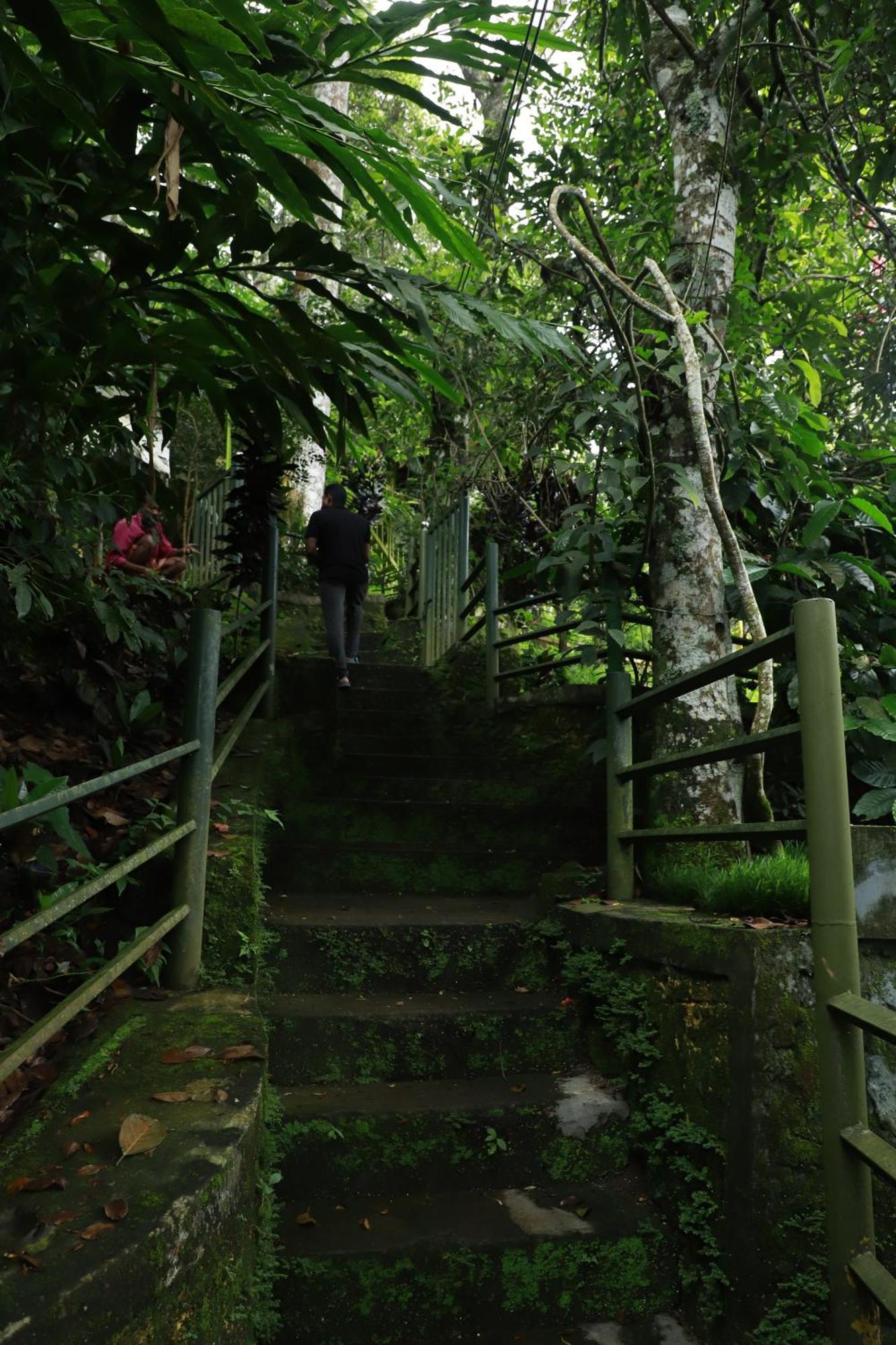 Anachal Nature Villa מראה חיצוני תמונה