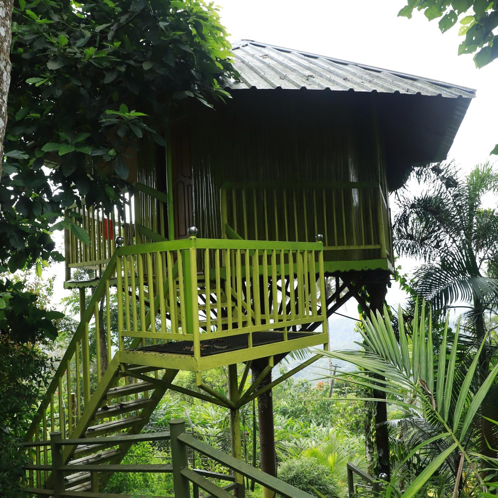 Anachal Nature Villa מראה חיצוני תמונה